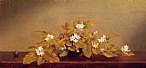 Trailing Arbutis by Martin Johnson Heade